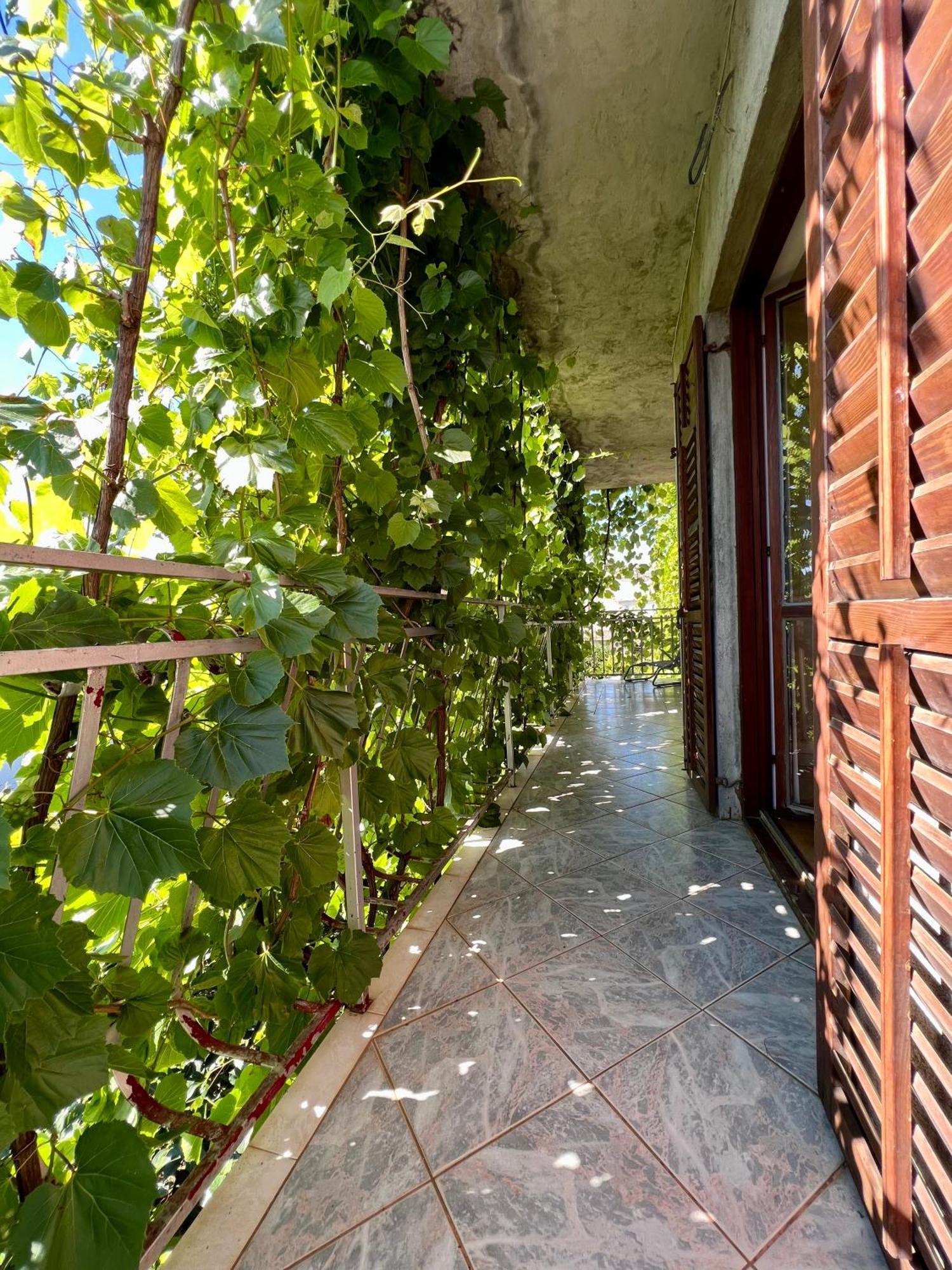 Vodice Center Apartments Værelse billede